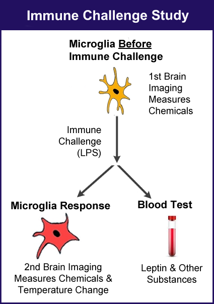 Immune Challenge Study