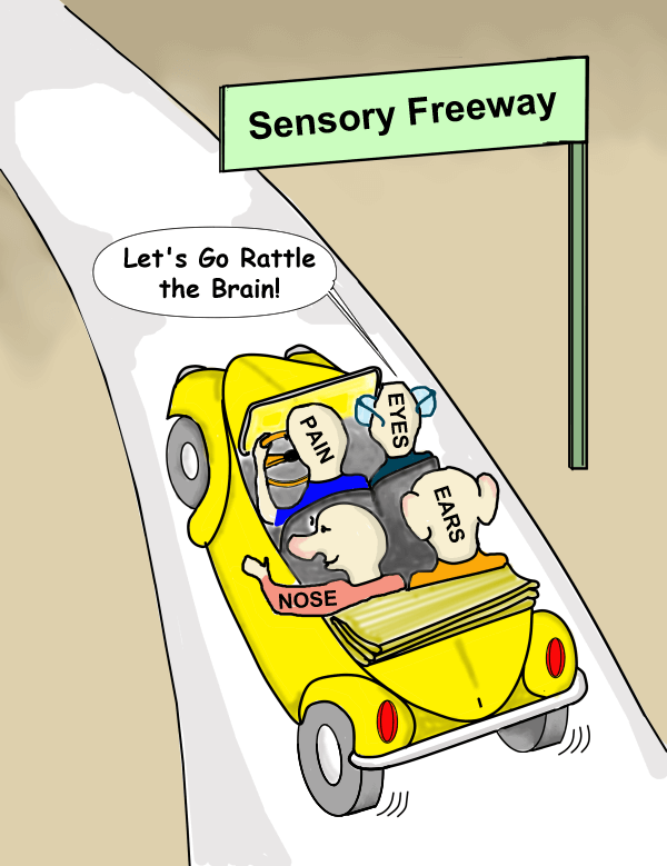 Cartoon of pain inputs, along with the eyes, ears, and nose, riding on the sensory freeway to make fibromyalgia symptoms worse.